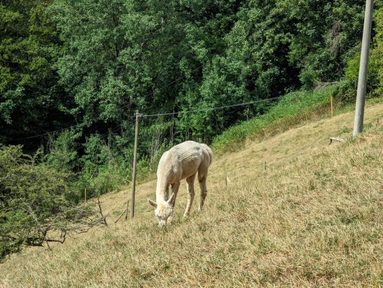 Karlstalschlucht Trippstadt 
23. Juli 2023
